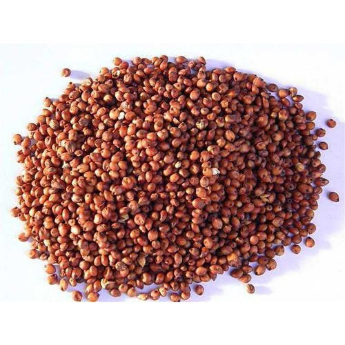 Red Sorghum Millet