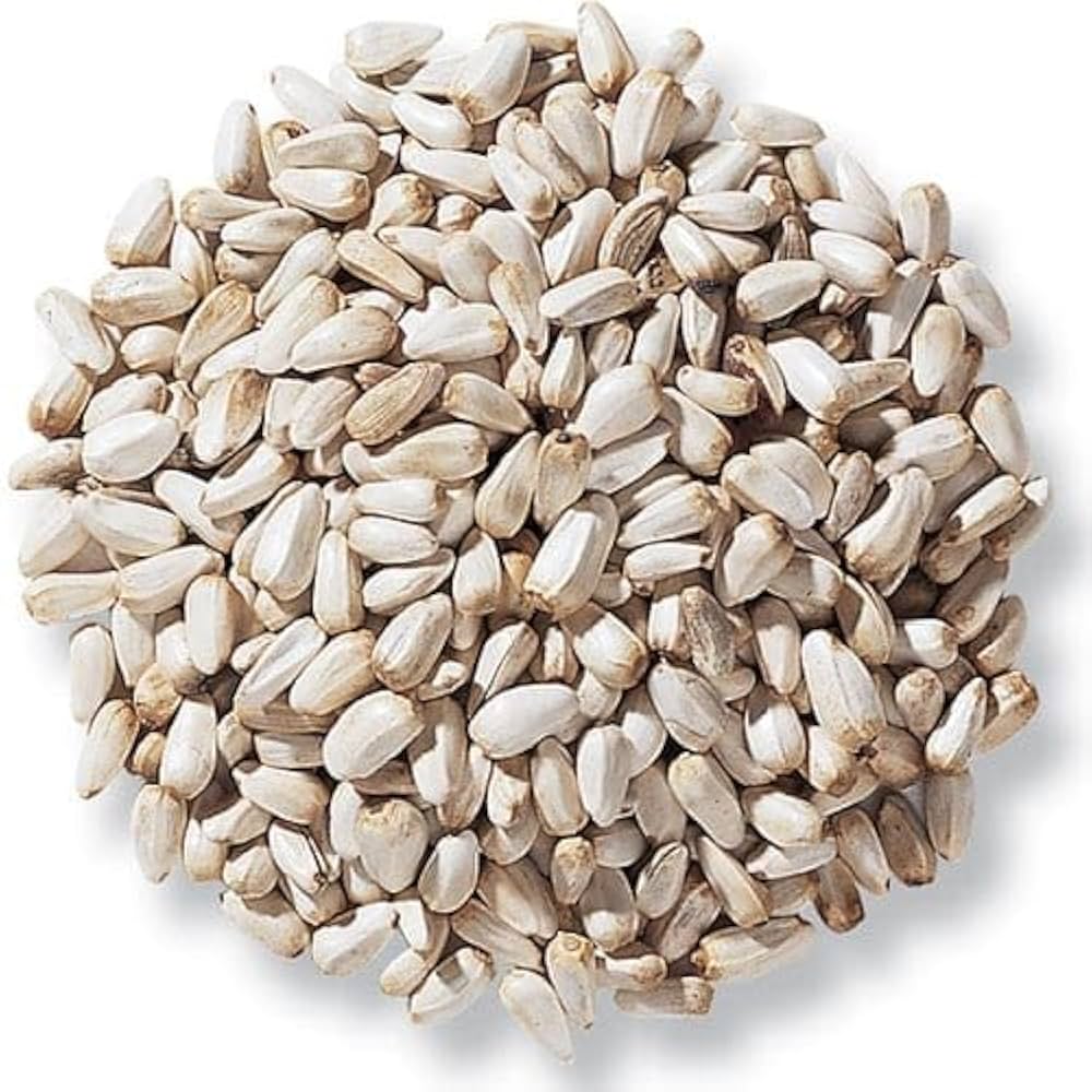 Safflower Seed